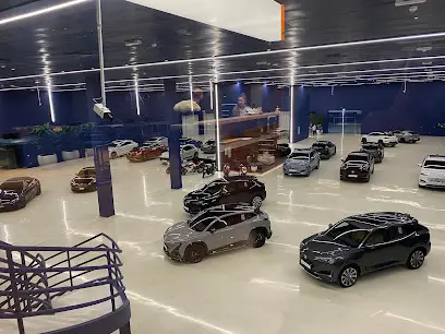 Approved Detailing | The Middle East's Largest XPEL PPF Destination