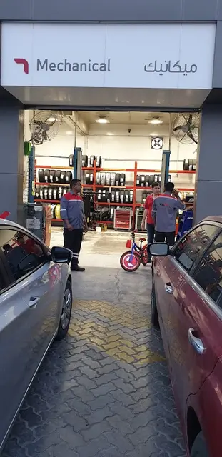 ProWash - 100